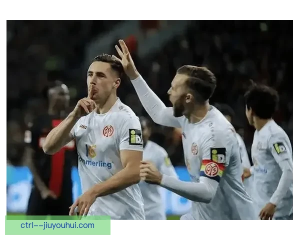 斯图加特官宣签约前锋德米罗维奇强化锋线实力